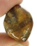 Bra Pris Hög Intressant Rå Oslipad Äkta Korssten (Andalusit) 33,40 Carat Naturligt Kors Mönster Nodul Bit Intressant Sällsynt samlarsten från Brasilien Köp Nu!