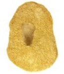 Good Price Very Exciting Finely Shaped Tooth from Mosasaurus 94 grams Embedded in Porous Sandstone High Interesting Collectible Item from Morocco Buy Now!