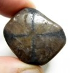 Good Price Tumbled Polished Genuine Chiastolite (Andalusite) 42,80 Gram Natural Clear Cross Pattern Interesting Collectors Stone from Brazil Purchase Now!