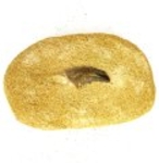 Bra Pris Mycket Spännande Fint Formad Tand från  Mossasaurie 103 gram Inbäddad i Porös Sandsten Hög Intressant Samlar Objekt från Marocko Köp Nu!