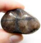 Good Price Tumbled Polished Genuine Chiastolite (Andalusite) 27,30 Gram Natural Clear Cross Pattern Interesting Collectors Stone from Brazil Purchase Now!