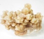 Bra Pris Mycket Vacker Stor Intressant Formation av Droppsten (Stalagmit) 431 gram Naturligt Bildadat Kluster Spännande Samlarstuff från Marocko Köp Nu!