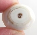 Bra Pris Intressant Format Sol Kvarts 16,64 carat Oval Cabochon Slipning Fin Kvalitet från Afrika Köp Nu!