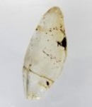 Bra Pris Mycket Fin Intressant Bergskristall/Vit Kvarts 9,59 gram Naturligt Terminerad Kristall Trevligt Samlar Matrial från Marocko Köp Nu!