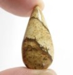 Bra Pris Vacker Mönstrad Bild Jaspis 20,71 carat Dropp Cabochon Slipad Mycket Bra Kvalitet & Färg från Madagaskar Köp Nu!