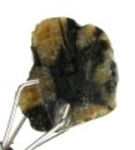Bra Pris Hög Intressant Rå Oslipad Äkta Korssten (Andalusit) 5,25 Carat Naturligt Kors Mönster Nodul Bit Intressant Sällsynt samlarsten från Brasilien Köp Nu!