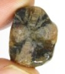 Bra Pris Hög Intressant Rå Oslipad Äkta Korssten (Andalusit) 25,50 Carat Naturligt Kors Mönster Nodul Bit Intressant Sällsynt samlarsten från Brasilien Köp Nu!