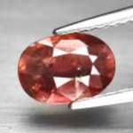 Bra Pris Obehandlad Sällsynt Padparadscha Safir 1,02 carat Oval Slipning Fin Lyster & Kvalitet från Mozambique Köp Nu!