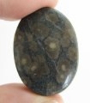 Good Price Big Interesting Mixed Gemstone Mica in Scapolite 46,89 carat Oval Cabochon Cut from Brazil Purchase Now!