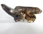 Bra Pris Spännande Vacker Samling av Rök Kvarts 270 gram Naturligt Kluster med Terminerade Kristaller Hög Intressant Samlar Stuff från Afrika Köp Nu!